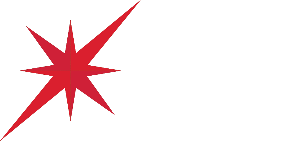 Stellar Vector Logo